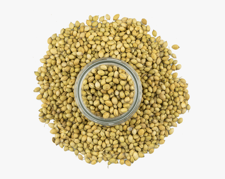 Indian Coriander Seeds 3 - Pulse, HD Png Download, Free Download