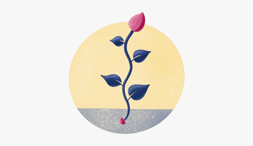 Grow - Rose, HD Png Download, Free Download