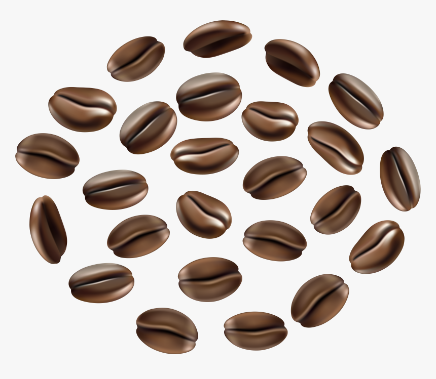 Coffee Seeds Png , Png Download, Transparent Png, Free Download