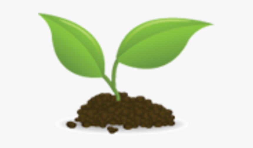 Seedling Png - Small - Seedlings Clipart, Transparent Png, Free Download