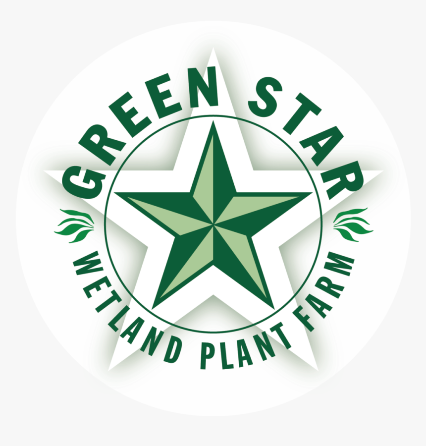 Green Star, HD Png Download, Free Download