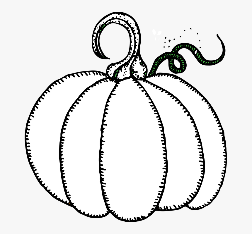 Pumpkin, Halloween, Carving, Ripe, Fat, Huge - Pumpkin Clipart Black And White, HD Png Download, Free Download