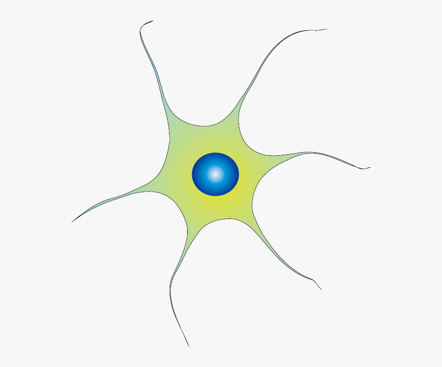 201102 Neuron - Neurons Png, Transparent Png, Free Download