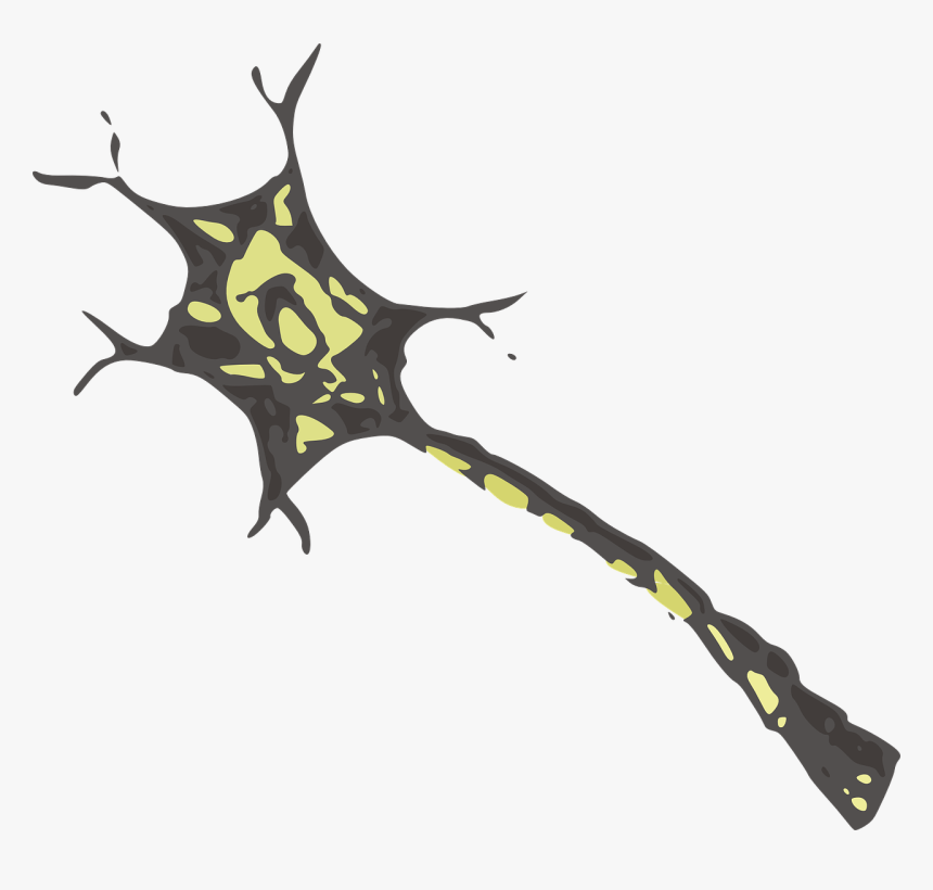 Neuron - Neurons Transparent, HD Png Download, Free Download