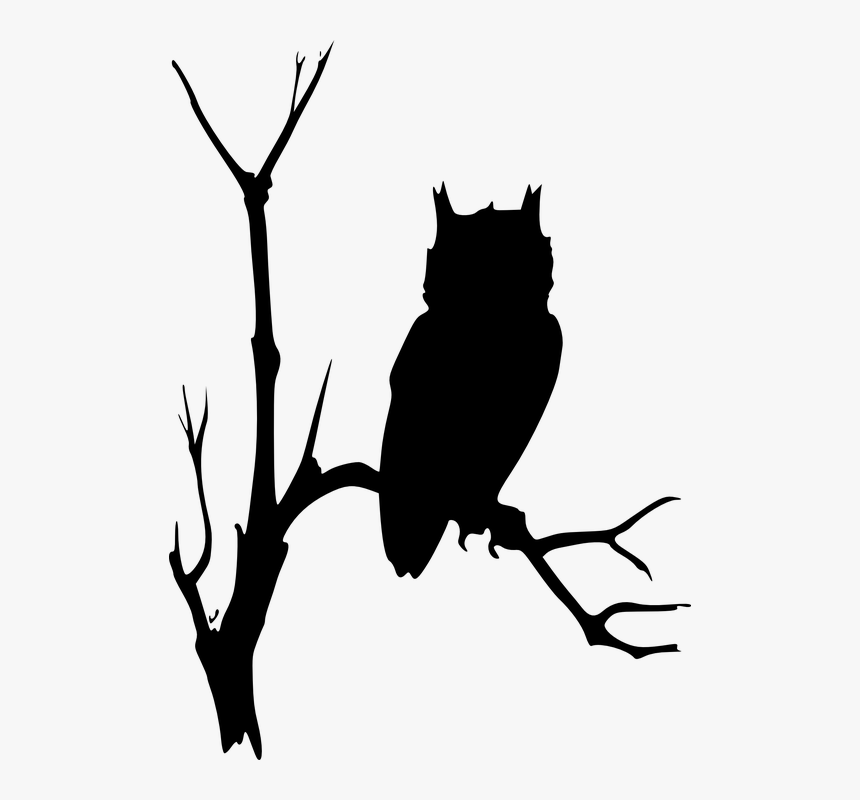 Cartoon Dead Trees 28, Buy Clip Art - Owl In A Tree Silhouette, HD Png Download, Free Download