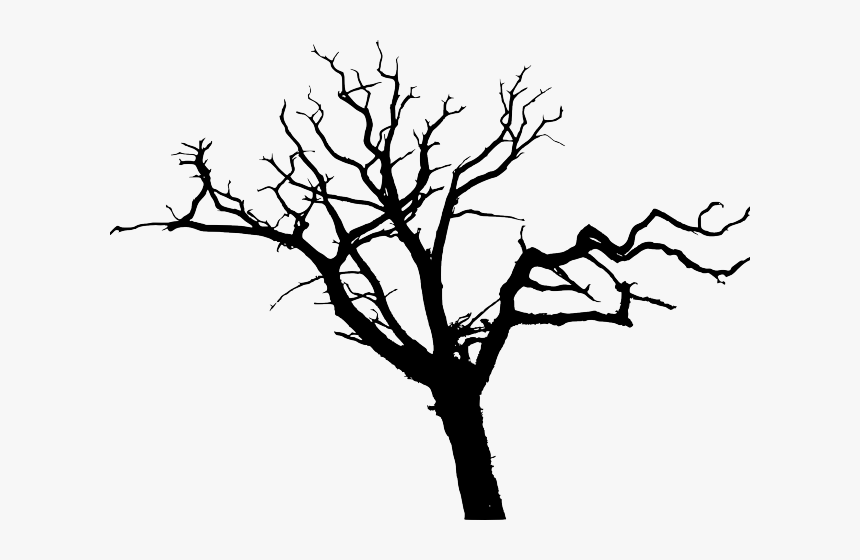 Drawn Dead Tree Transparent Background - Transparent Background Tree Silhouette, HD Png Download, Free Download