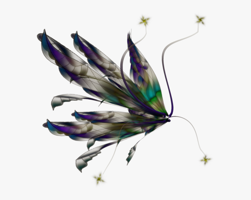 Fairy Wing 12 By Wolverine041269-d5uqf6d - Insect, HD Png Download, Free Download