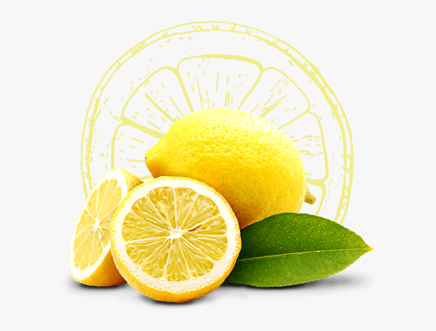 Drawing Lemon Peel - Zitrone, HD Png Download, Free Download