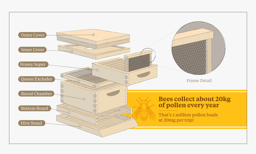 A Diagram Of A Beehive - East Spring Secondary School, HD Png Download, Free Download