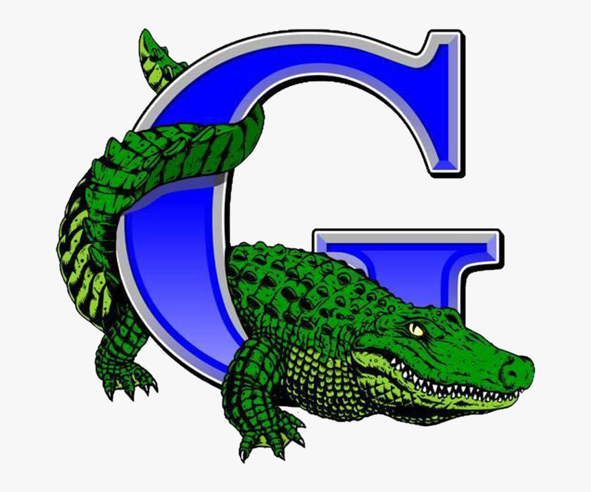 Volleyball Clipart Gator - Grulla Gators Logo, HD Png Download, Free Download