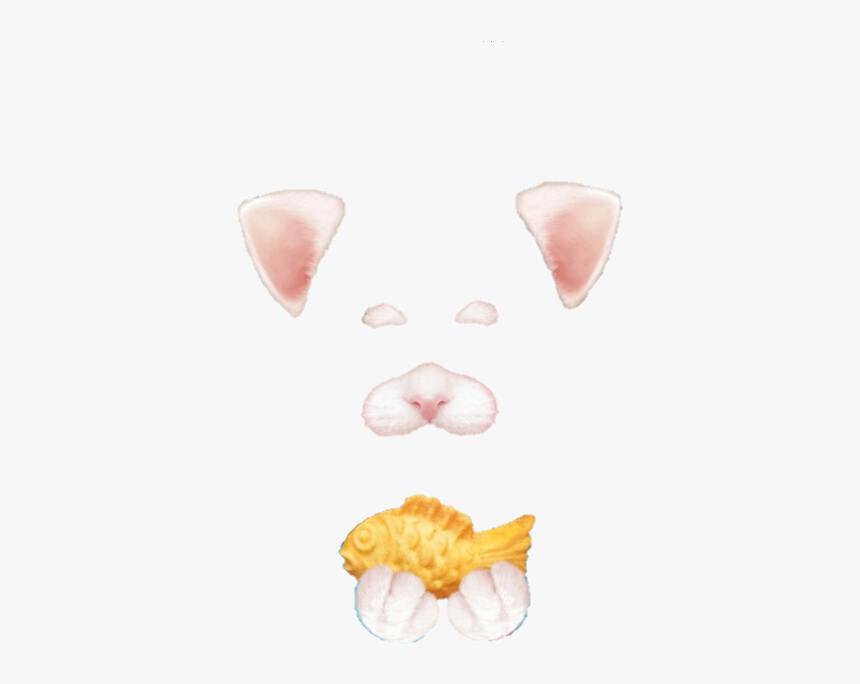 Nose,pink,snout,whiskers - Png Snow Filter Cat, Transparent Png, Free Download