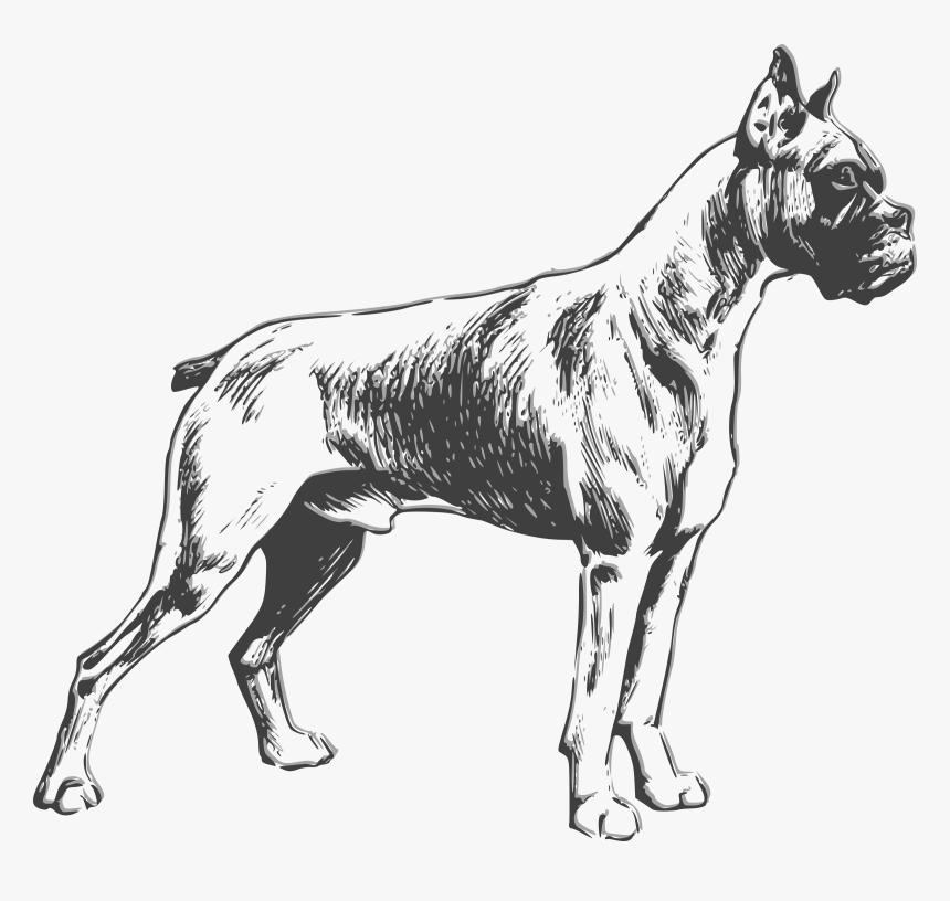 Boxer Clip Arts - Boxer Dog Vector Black And White, HD Png Download, Free Download