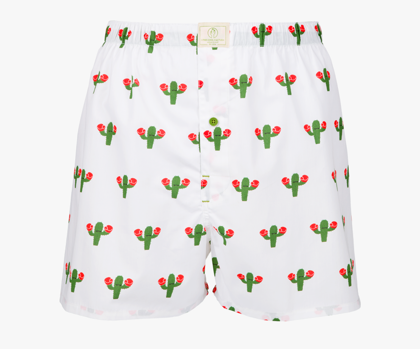 Boxing Cactus - Calzoncillos Estampados, HD Png Download, Free Download