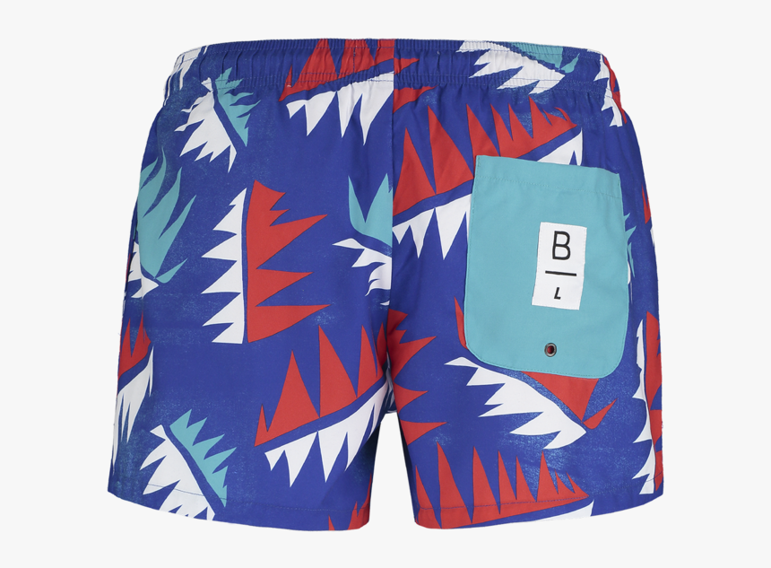 La Palmera Swim Shorts - Board Short, HD Png Download, Free Download