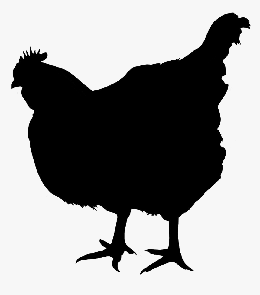 Chicken Royalty-free Stock Photography - Chicken Silhouette Transparent Background, HD Png Download, Free Download