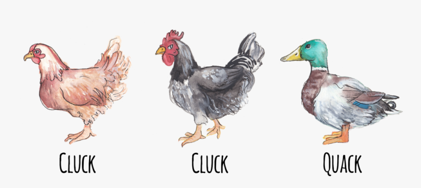 Illustration Of Two Chickens Followed By A Duck And - Rooster, HD Png Download, Free Download