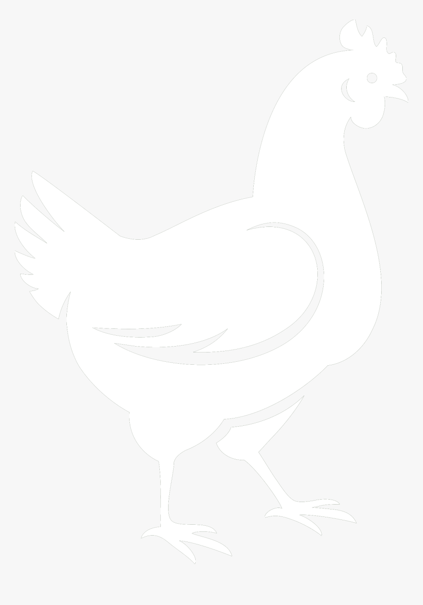 Rooster, HD Png Download, Free Download