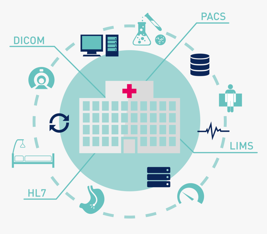 Iot In Healthcare Transparent, HD Png Download, Free Download
