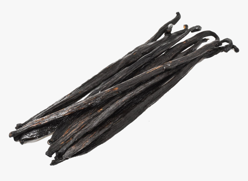 Vanilla Bean, HD Png Download, Free Download