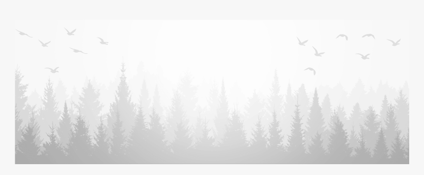 Transparent Trees Background Png - Frost, Png Download, Free Download