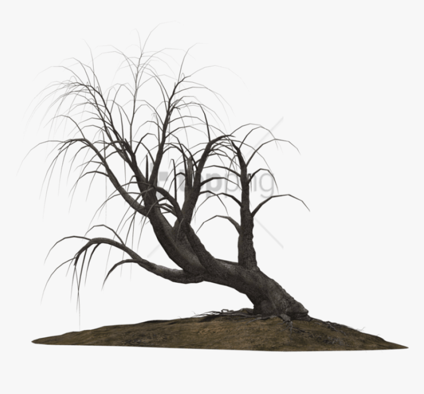 Free Png Download Creepy Trees Png Images Background - Creepy Tree Transparent Background, Png Download, Free Download