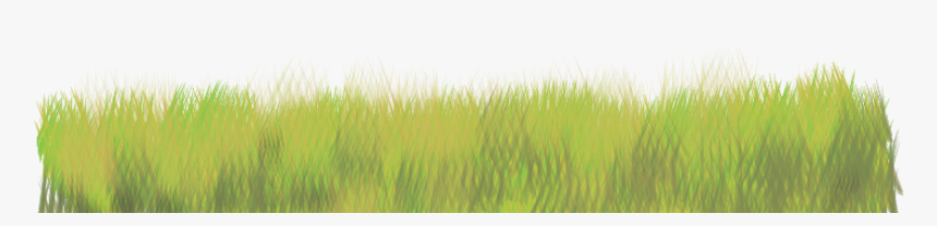 #grass #texture #freetoedit - Sweet Grass, HD Png Download, Free Download