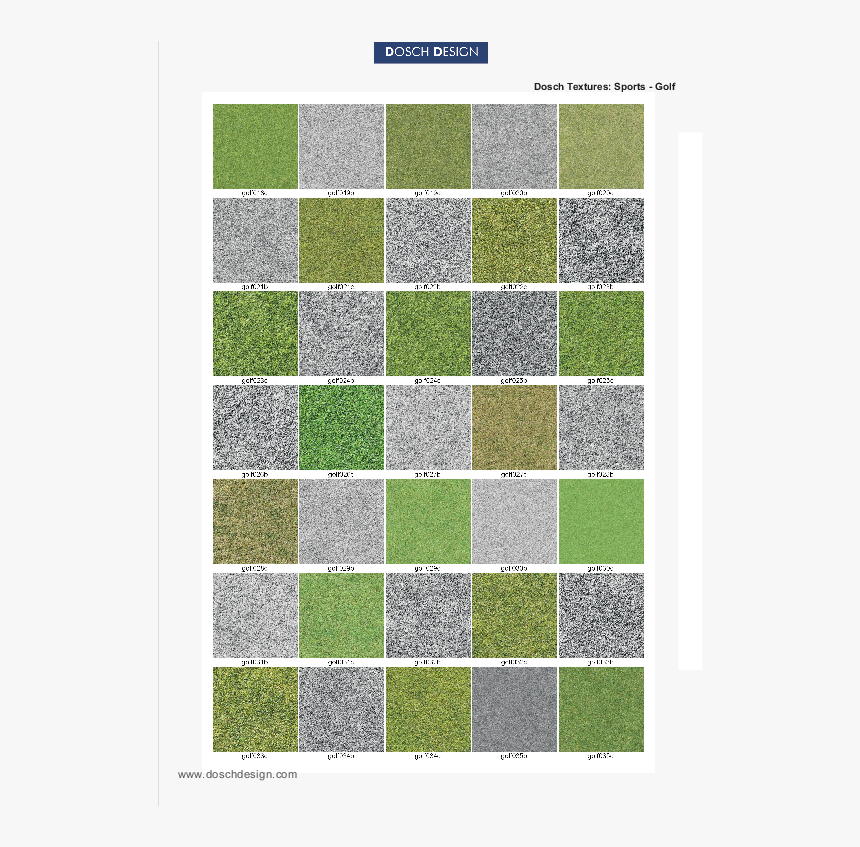 Grass, HD Png Download, Free Download