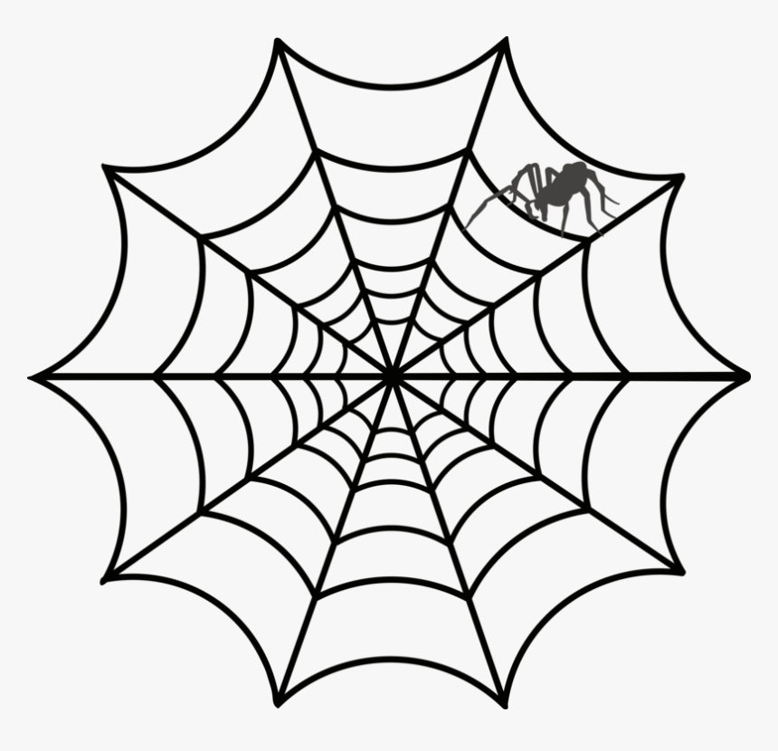 Spider Web Clipart Web Drawing - Transparent Background Spider Web Clipart, HD Png Download, Free Download