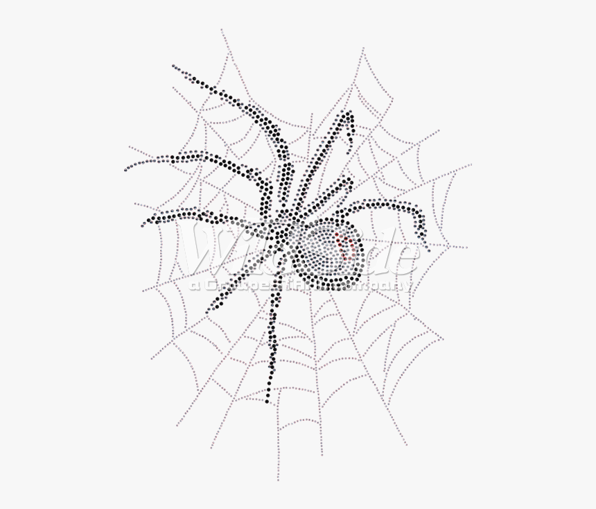 Transparent Spider Net Png - Real Spider Web Transparent, Png Download, Free Download