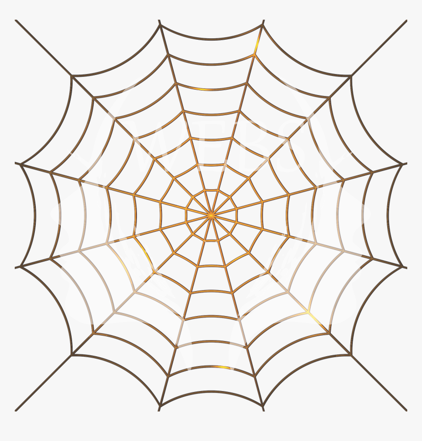 Webs - Spider Web Transparent Background, HD Png Download, Free Download