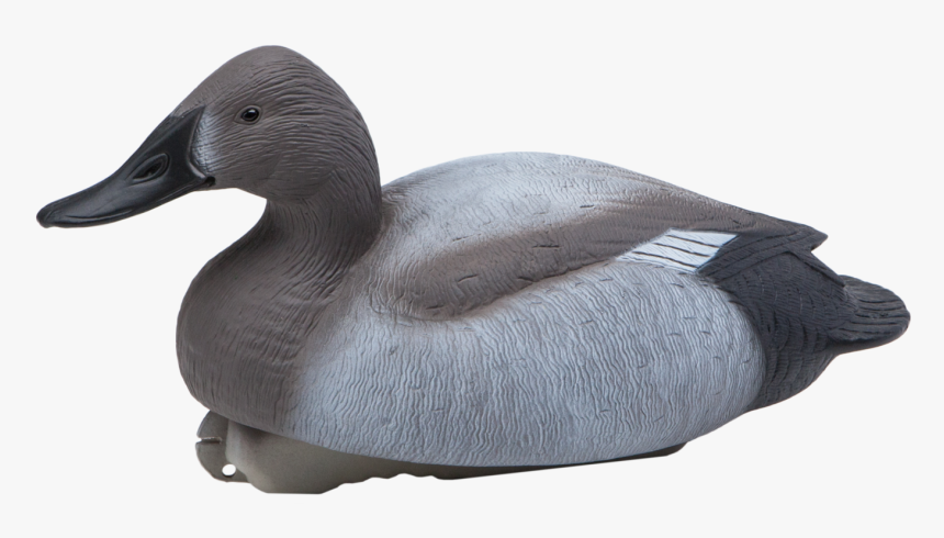 Mallard Goose Decoy Canvasback Duck - Greater Scaup, HD Png Download, Free Download