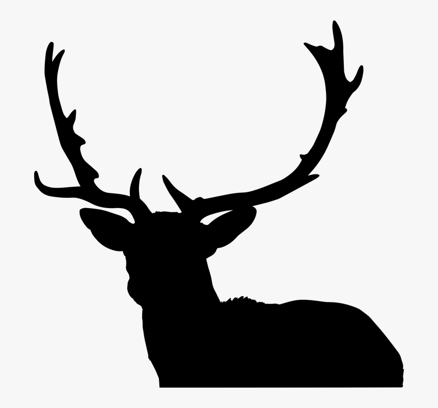 Deer, Hunting, Sport, Stag, Animal, Mammal, Wild - Animales En Peligro Extinción 2019, HD Png Download, Free Download