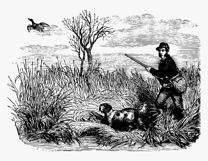 Duck Hunting - Bird Hunting Drawing, HD Png Download, Free Download