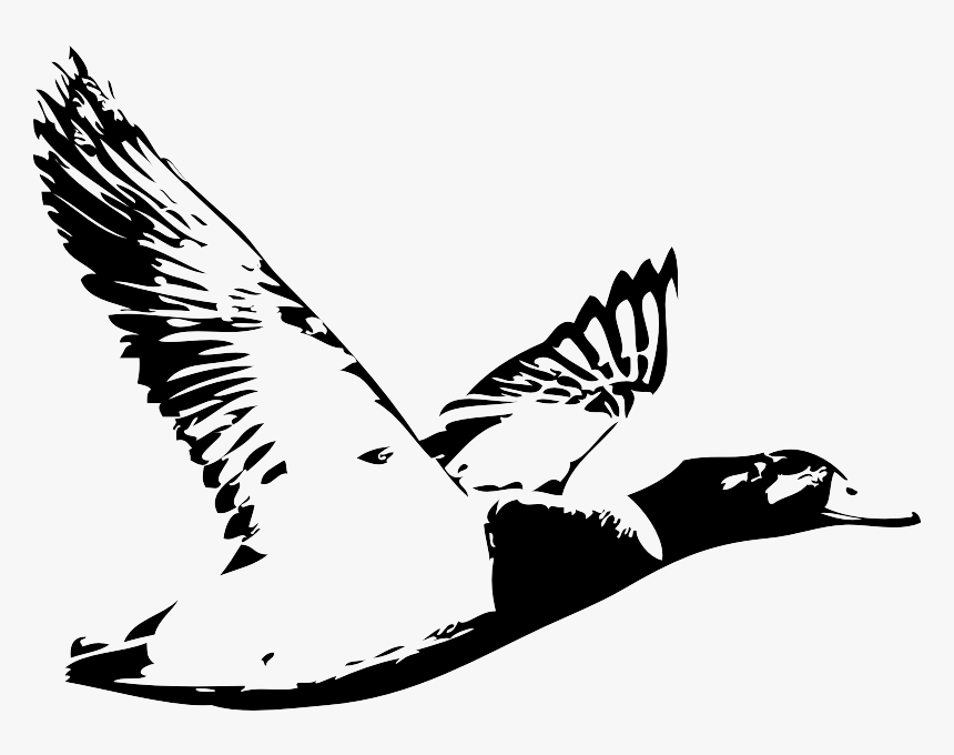 Duck Waterfowl Hunting Logo Water Bird - Duck Hunting Logo, HD Png Download, Free Download