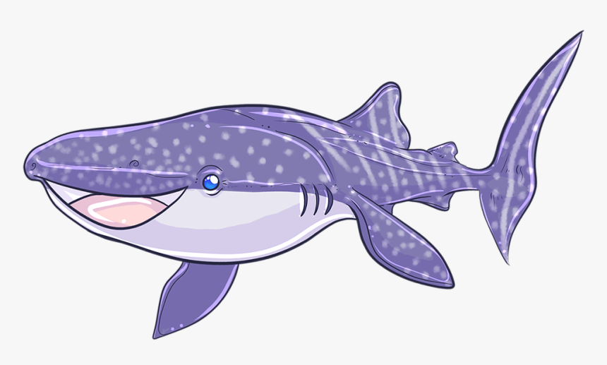 Whale Shark, HD Png Download, Free Download