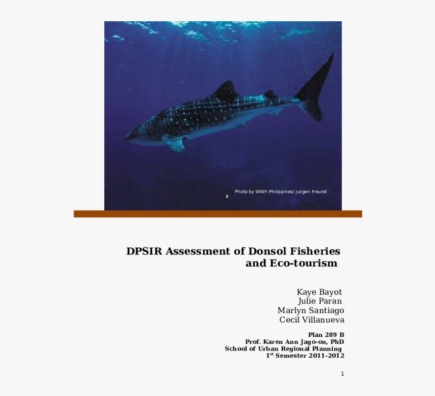 Whale Shark , Png Download - Whale Shark, Transparent Png, Free Download