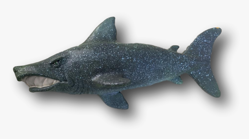 Shark, HD Png Download, Free Download