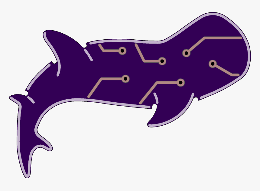 Cartilaginous Fish, HD Png Download, Free Download