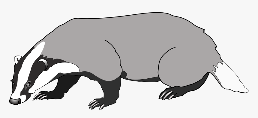 Badger Png - Badger Clipart Png, Transparent Png, Free Download