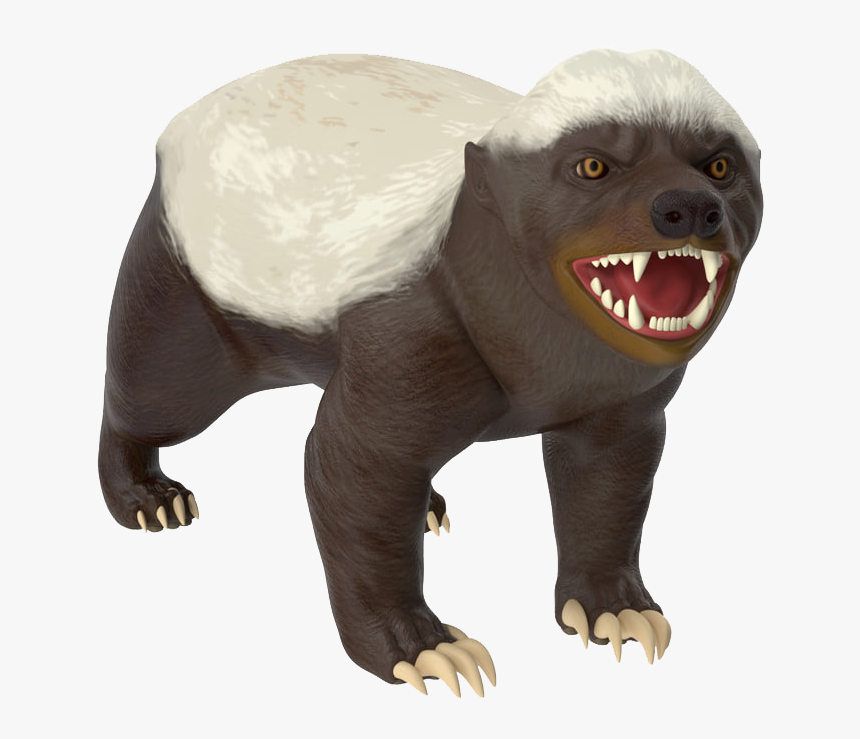 Honey Badger Png Images Transparent Background - Honey Badger No Background, Png Download, Free Download