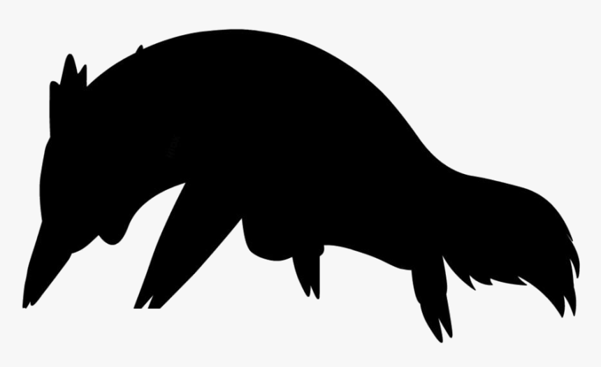 Badger Pokemon Art Hd Png Download - Marine Mammal, Transparent Png, Free Download