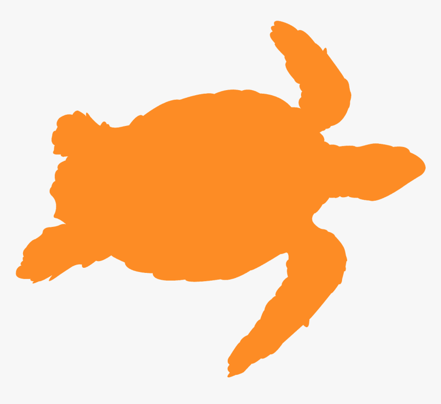 Yellow Turtle Outline, HD Png Download, Free Download