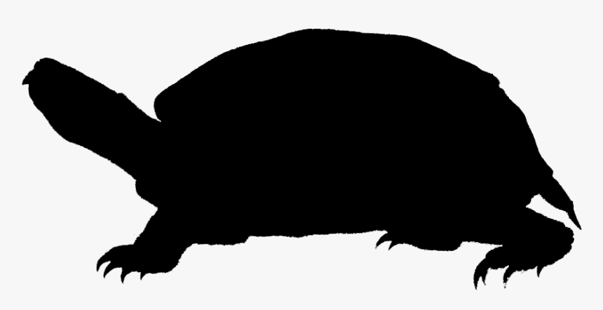 Turtle Silhouette - Silhouette, HD Png Download, Free Download
