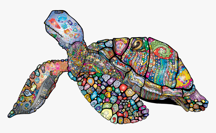 Clip Art Free Photo Floral Sea - World Sea Turtle Day 2019, HD Png Download, Free Download