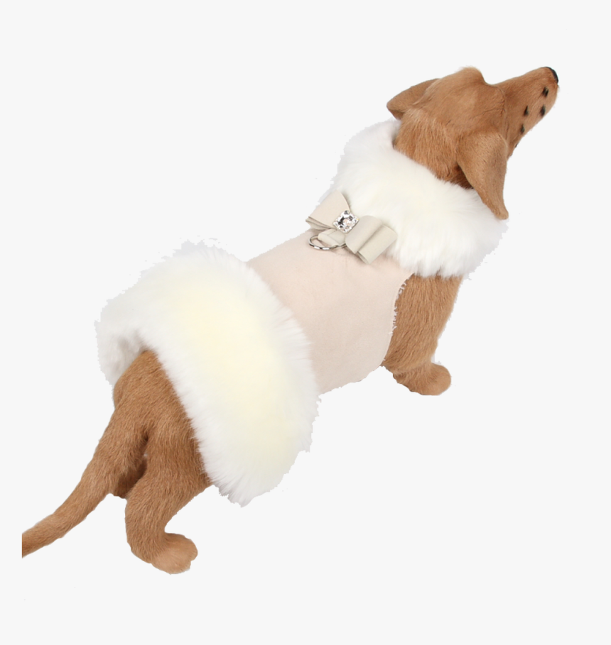 Fauxy Fur White And Ivory Coat With Big Bow - Companion Dog, HD Png Download, Free Download