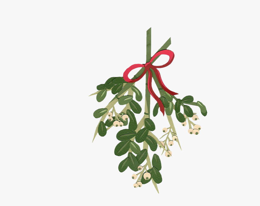 Magic Packaging Meredith Ogorek - Mistletoe Watercolor Clipart, HD Png Download, Free Download