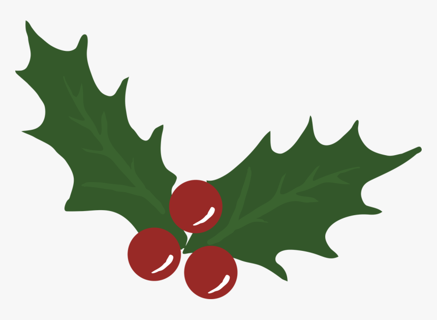 Mistletoe, HD Png Download, Free Download