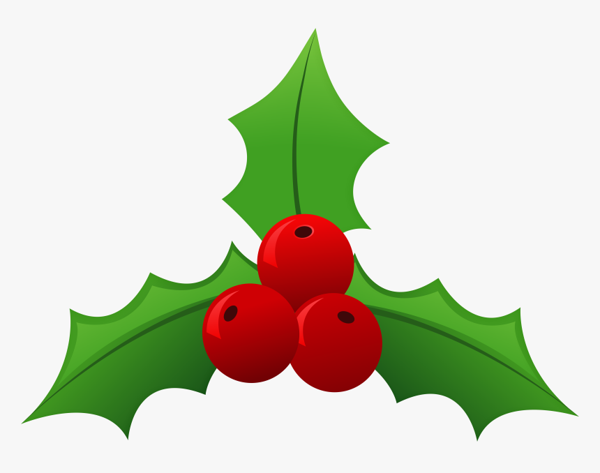 Mistletoe Png Clipart , Png Download - Mistletoe Clipart Png, Transparent Png, Free Download