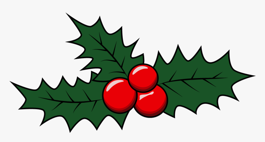 How To Draw Mistletoe, Christmas, Holidays, Easy Step - Drawings Of Mistletoe Small, HD Png Download, Free Download
