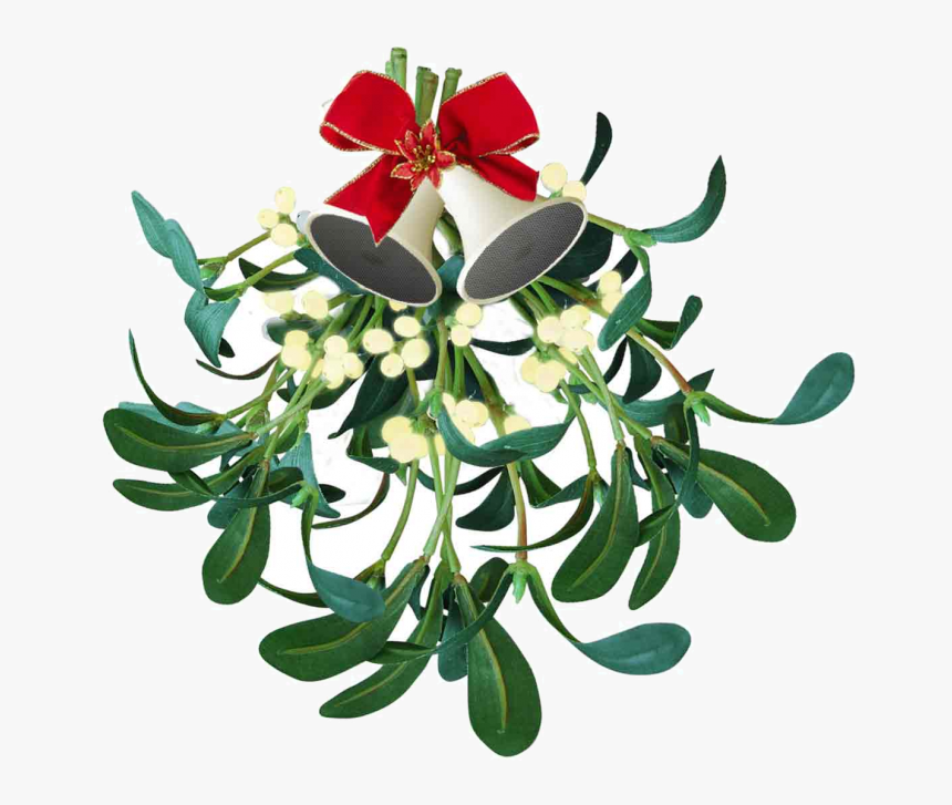 Mistletoe White, HD Png Download, Free Download